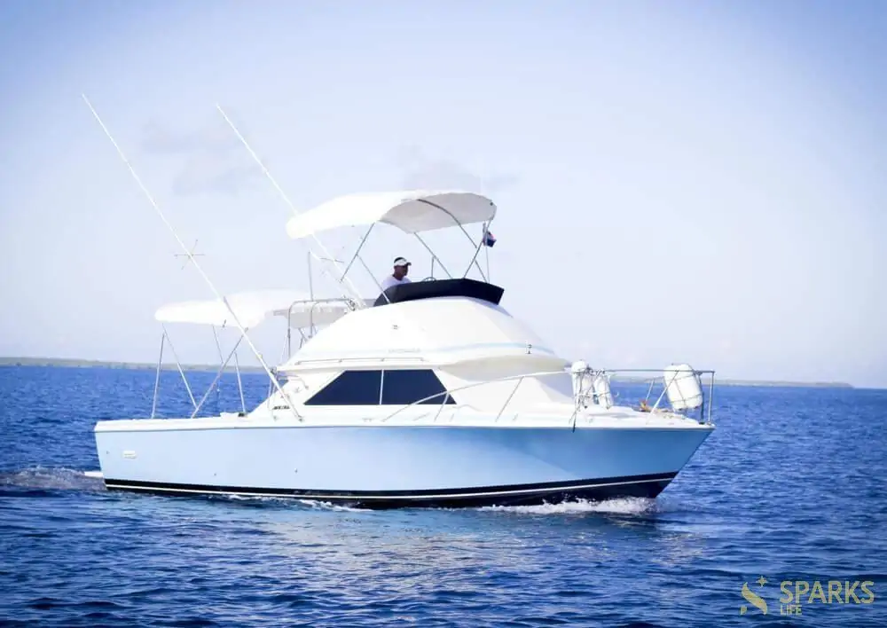 Моторная яхта Consuelo 17 &mdash; Sparks Life Worldwide