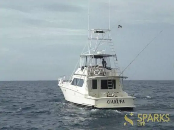 Моторная яхта Elaine 9 &mdash; Sparks Life Worldwide