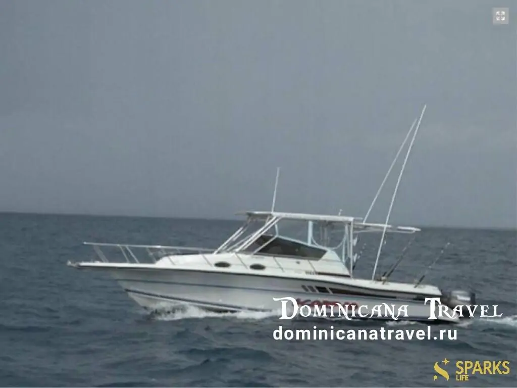 Моторная яхта Scorpio, Consuelo 1 &mdash; Sparks Life Worldwide