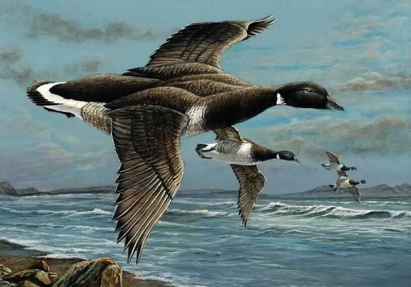 Зображення для статті: Полет на мотодельтаплане