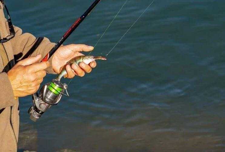 Зображення для статті: Рыбная ловля с яхты на Средиземном море