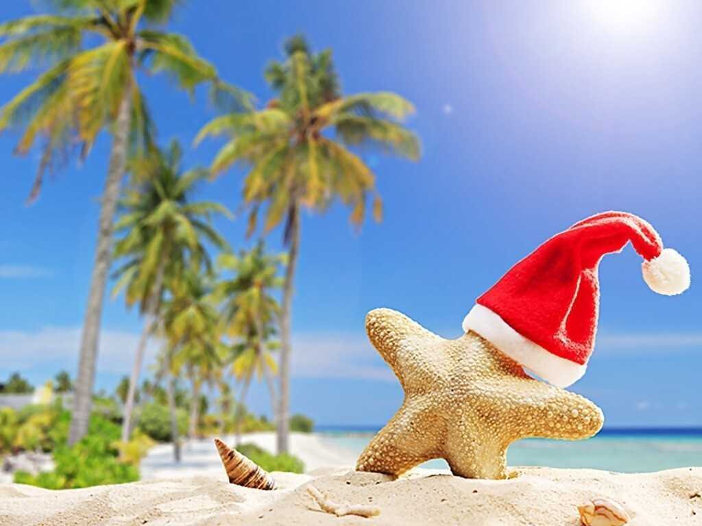 Зображення для статті: Новый год на катамаране в лазурных водах Карибского моря