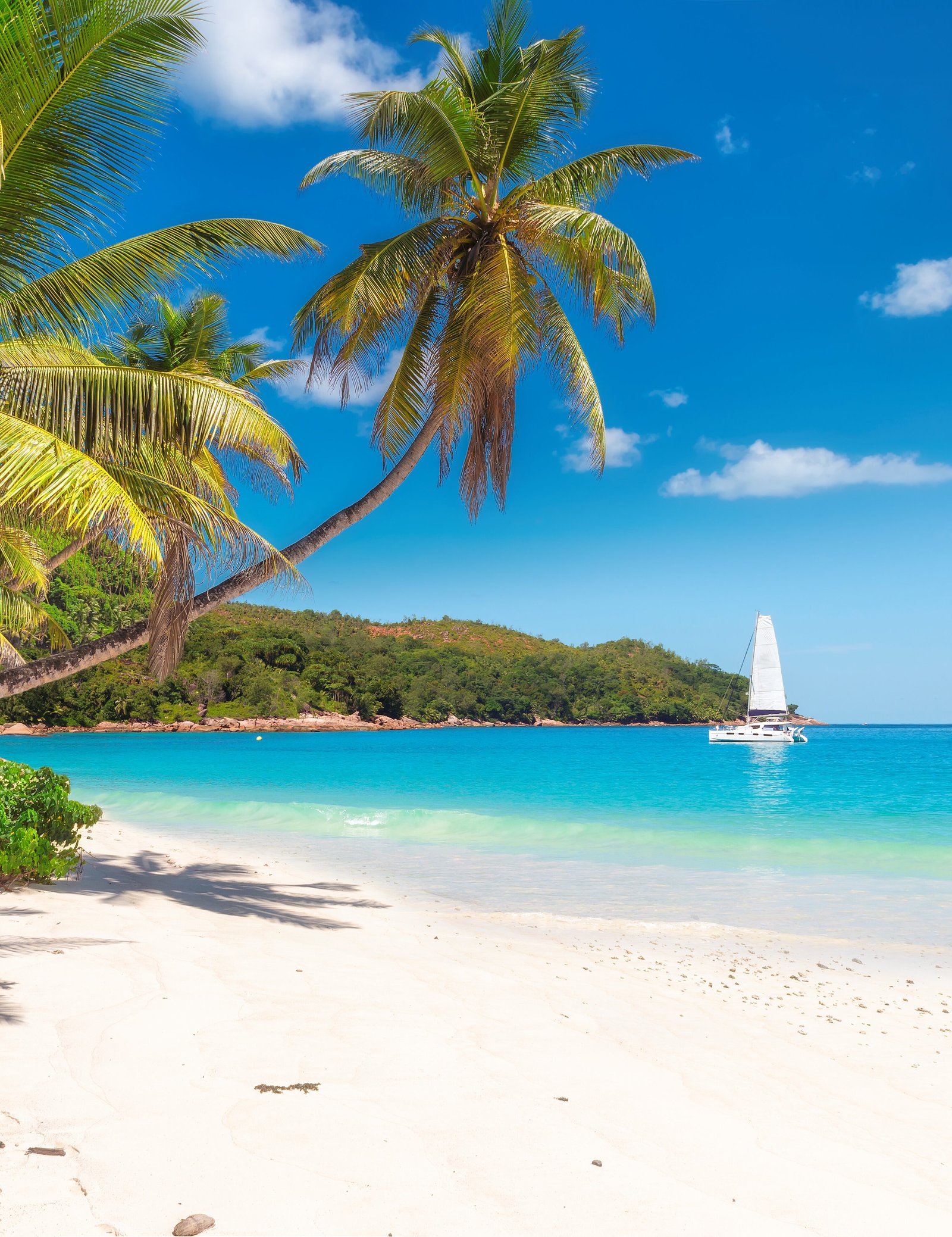 Тур на яхті Сейшели чи Тропічний рай